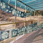 KakaoTalk_20260311_160003271_23